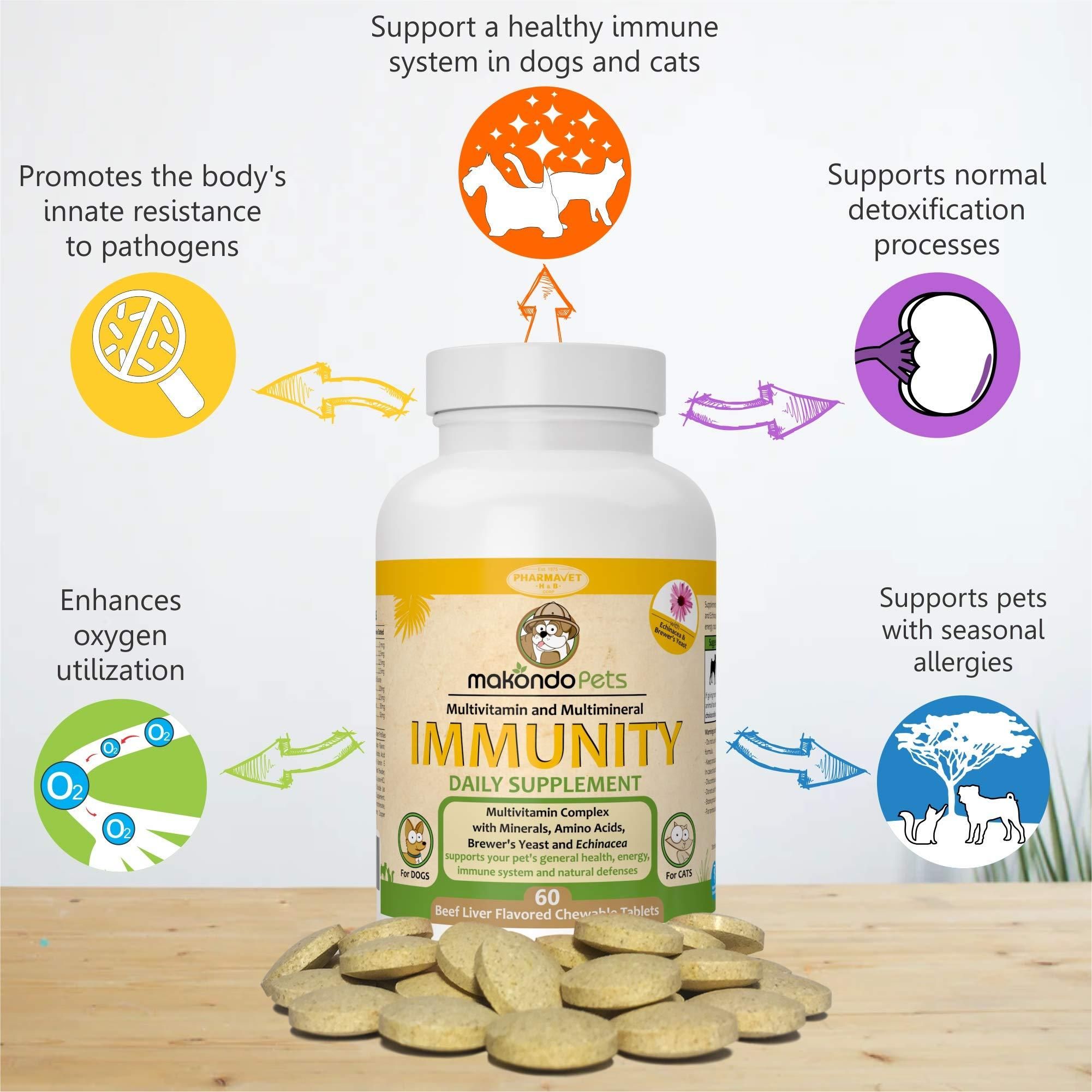 Immune Support Dog Supplement Dog Allergy Relief with Vitamins Minerals Echinacea and Brewers Yeast for Dogs Immunity Dog Health Supplies Dog Itch Relief Cat & Dog Vitamins and Supplements